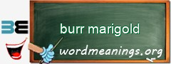 WordMeaning blackboard for burr marigold